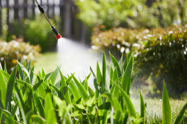 24/7 Emergency Ant Control experts in Pittsfield, IL