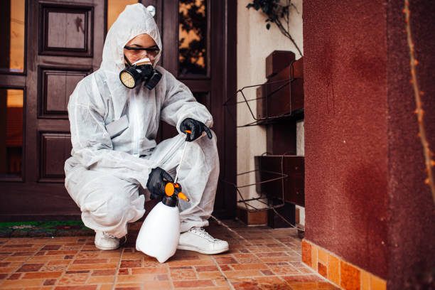 Reliable Ant Control contractor in Pittsfield, IL by Nex Pest Control