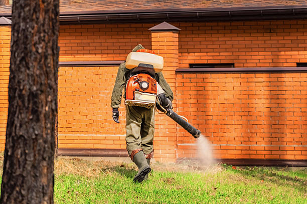 Trusted Bed Bug Control service in Pittsfield, IL - Nex Pest Control